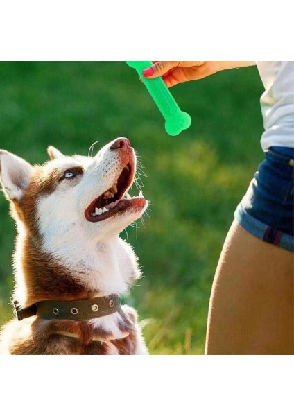 3 Parçalı Set Evcil Kedi Çiğneme Oyuncakları Kauçuk Kemik Oyuncak Çiğneme Köpek Diş Fırçası Köpek Yavrusu (Yurt Dışından)