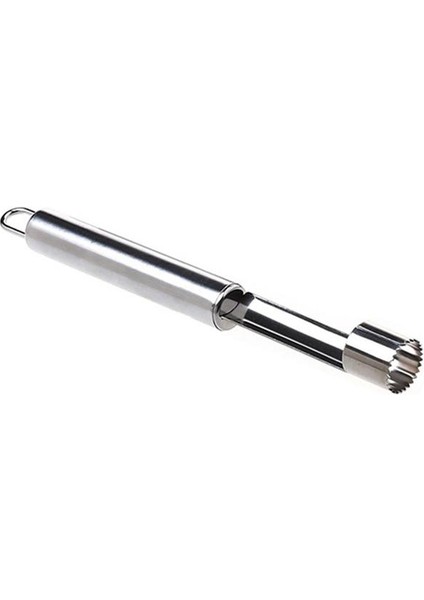 Gümüş 2 cm Paslanmaz Çelik Hünnap Çekirdek Tohumları Sökücü Ayırıcı Pitter Mutfak Gadget Elma Oyacağı Sökücü Biber Çukuru Kaldırmak Aksesuarları (Yurt Dışından)