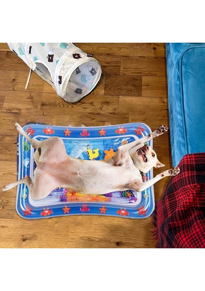 Kediler ve Köpekler Için Su Duyusal Oyun Matı Kalınlaştırılmış Şişme Su Mat Pet Oyun Matı, (Yurt Dışından) fırsatları