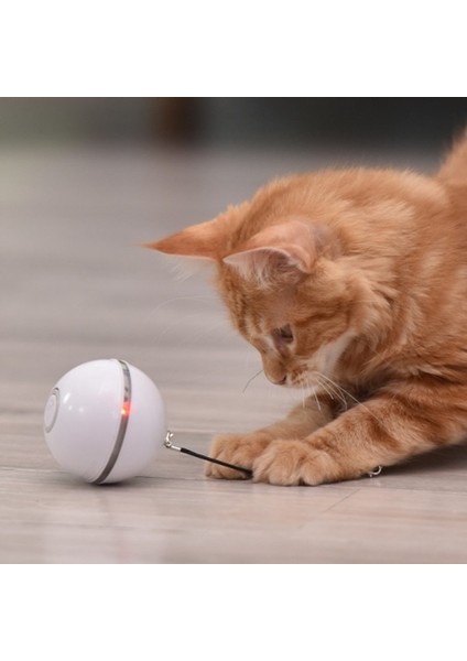 Evcil Hayvan Topu Oyuncak Renkli LED Dönen Flaş Topu Oyuncak Kedi USB Kedi Oyuncak (Yurt Dışından) fiyatları