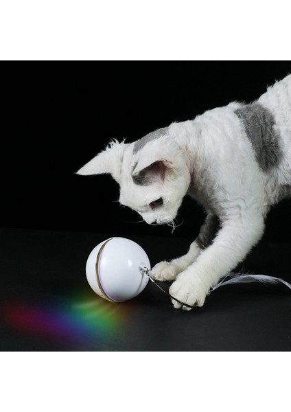 Evcil Hayvan Topu Oyuncak Renkli LED Dönen Flaş Topu Oyuncak Kedi USB Kedi Oyuncak (Yurt Dışından) fırsatları
