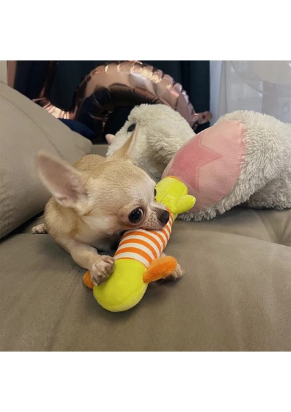 Evcil Köpek Gıcırtılı Çiğneme Önleyici Oyuncak Küçük Kedi Oyuncak Köpek Yavrusu Interaktif Çiğneme (Yurt Dışından)
