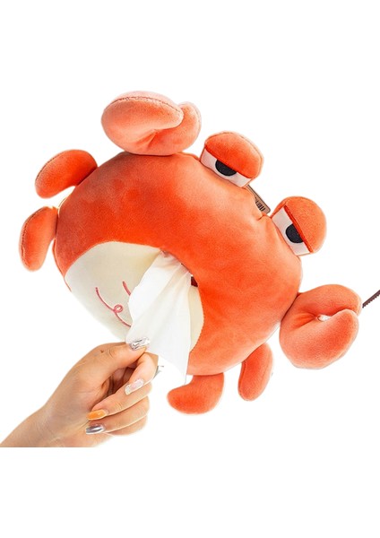 Kutu Mendil Düzenleyici (Yurt Dışından)