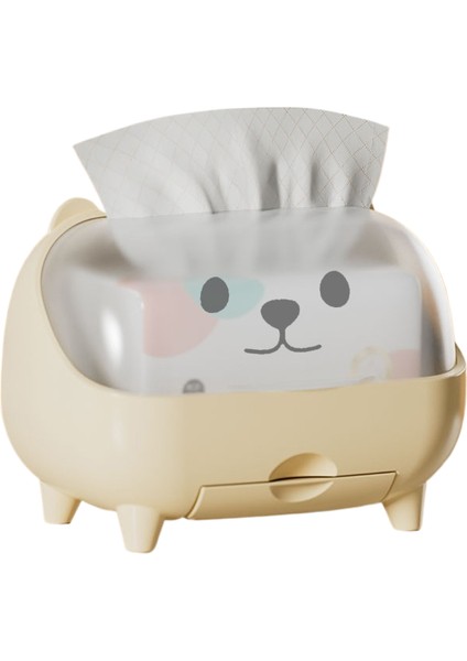 Kutu Mendil Düzenleyici (Yurt Dışından)