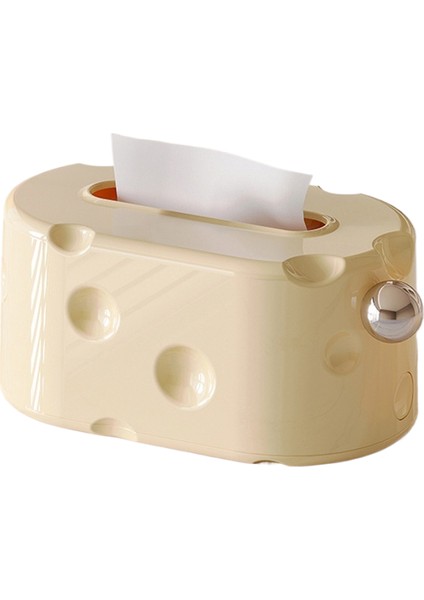 Kutu Mendil Düzenleyici (Yurt Dışından)