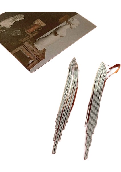 Şık ve Narin Küpeler (Yurt Dışından)