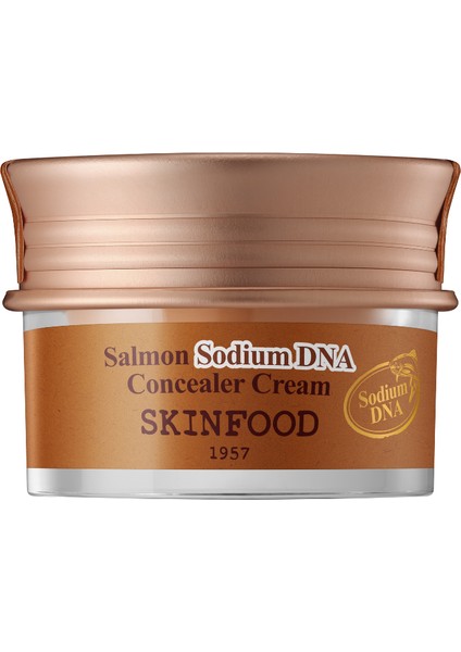 Skinfood Salmon Sodium Dna Concealer Cream No.2 Beige