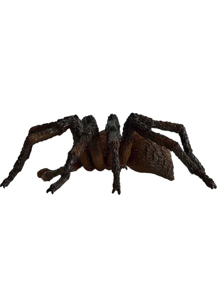 Harry Potter Aragog Figür 13987