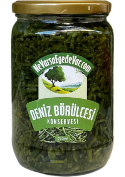 Deniz Börülcesi Konserve fiyatları
