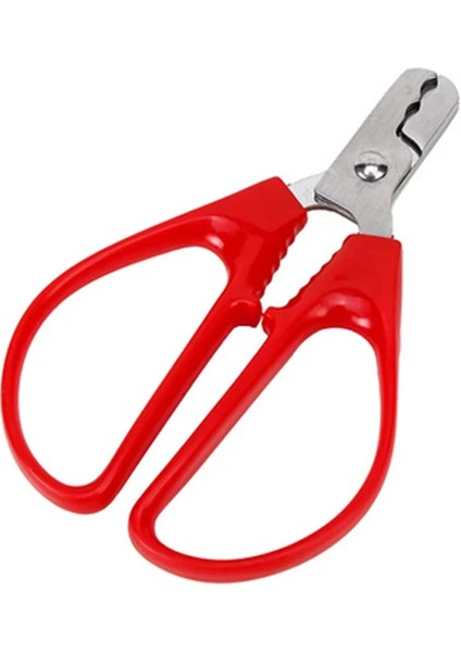 Paslanmaz Çelik Kavun Çekirdeği Tembel Artefakt Açacağı Fındıkkıran Fındık Kabuğu Kraker Tohumu Fıstık Sheller Soyma Pensesi Mutfak Aracı (Yurt Dışından)