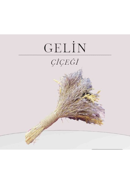 Gelin Çiçeği
