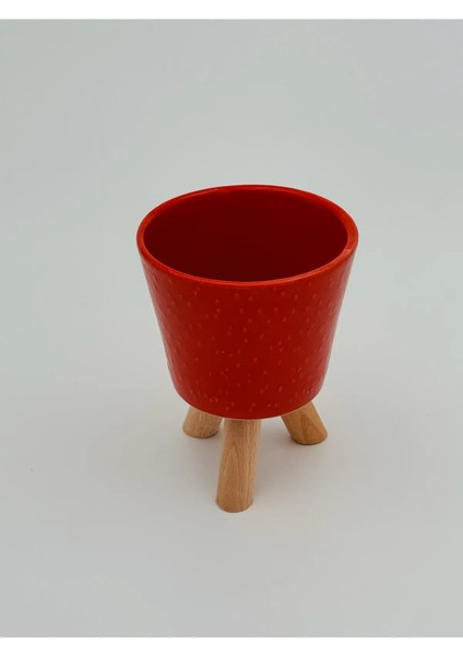Seramik Ahşap Ayaklı Kaktüs Saksısı 10 cm