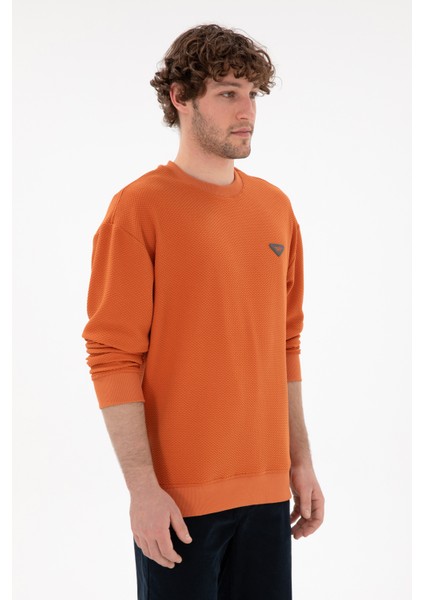 Erkek Tarçın Sweatshirt 50290777-VR191
