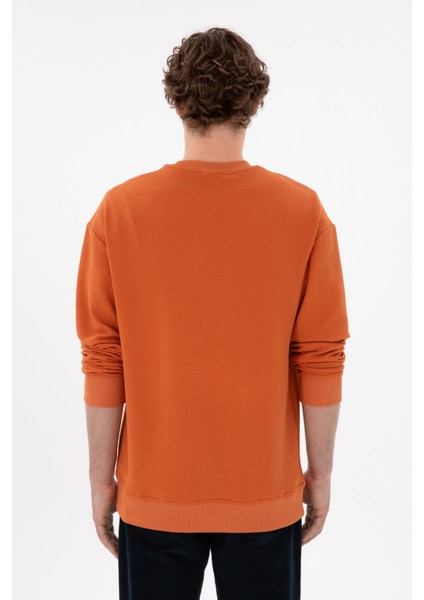 Erkek Tarçın Sweatshirt 50290777-VR191