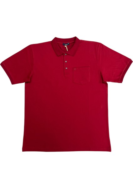25 - 1252 Polo Yakalı Patlı Kısa Kol