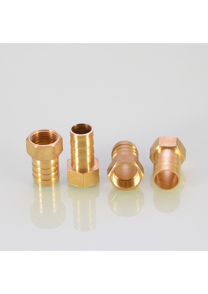 3l4 Bsp 16MM Diken F Stili Pagoda Bağlantı Hortum Borusu Bağlantı Hortum Kuyruğu Dişi Bsp Dişi Pc Erkek Pirinç Su Borusu Bağlantı Parçaları (Yurt Dışından) indirimleri