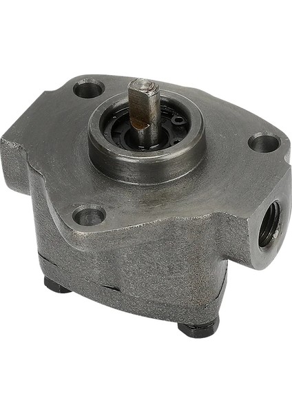 TOP-10A Küçük Dişli Yağ Pompası Ayarlanabilir Basınç Üçgen Pompası Top Serisi Yağlamada Trokoid Pompası (Yurt Dışından) fırsatları