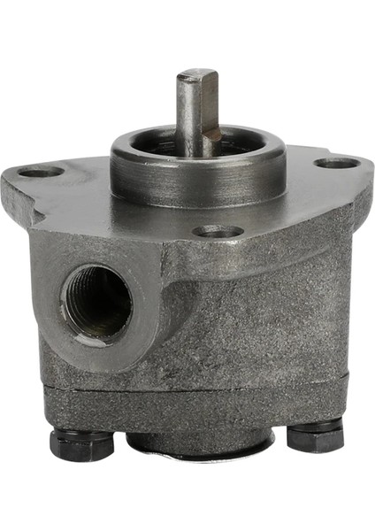 TOP-10A Küçük Dişli Yağ Pompası Ayarlanabilir Basınç Üçgen Pompası Top Serisi Yağlamada Trokoid Pompası (Yurt Dışından) indirimleri