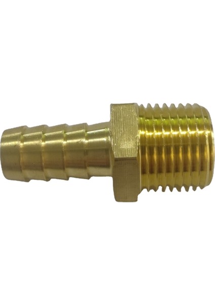 Erkekten Hortuma Diken Stili 2 Npt'den 2 Inçe Npt Erkek Dişi - Inç Hortum Bağlantı Parçası Adaptörü Su Gaz Yakıt Için Hosetail Brae Fitting Connector Adapter (Yurt Dışından)