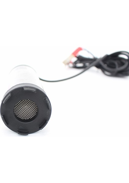 12V Araba 12 V Volt Elektrikli Yakıt Transfer Pompası 12L/DK 12V 24V Dc Paslanmaz Çelik Kabuklu Dizel Yağ Su Daldırma Pompası (Yurt Dışından)