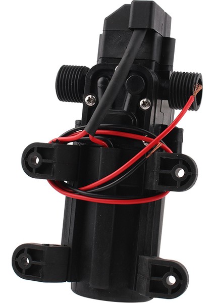 Sadece Bir Pompa Dc 12V 60W 5l/dak Tarımsal Elektrikli Su Pompası Siyah Mikro Yüksek Basınçlı Diyafram Su Pompası Su Püskürtücü Araba Yıkama (Yurt Dışından)