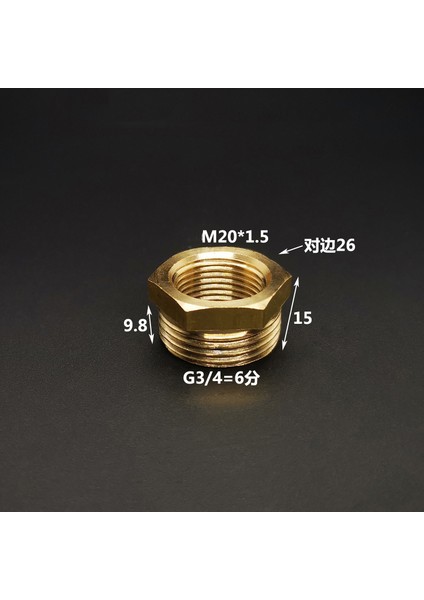 M20X1,5 Ila G3L4 Stili Dişi Erkek Konu Bağlantı Adaptörü Dönüştürücü Redüktör Kuplaj Adaptörü (Yurt Dışından)