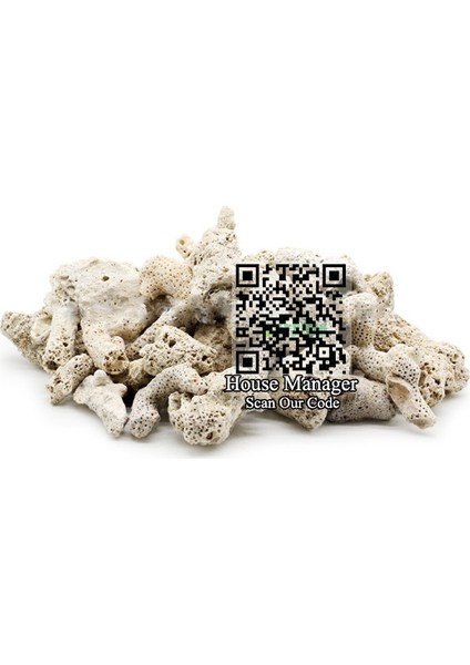 Beyaz Stil 500G Akvaryum Filtre Mercan Kabuğu, Tatlı Su Tuzlu Su, Doğal Mercan Kemiği Kum Biyosikl Filtrasyon Orta, Bakterileri Nitrify Eder (Yurt Dışından)