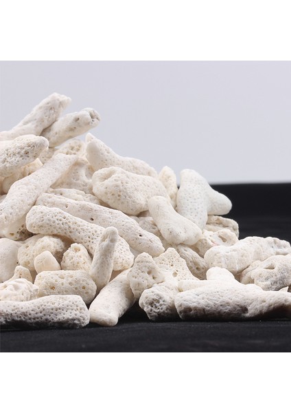 Beyaz Stil 500G Akvaryum Filtre Mercan Kabuğu, Tatlı Su Tuzlu Su, Doğal Mercan Kemiği Kum Biyosikl Filtrasyon Orta, Bakterileri Nitrify Eder (Yurt Dışından)