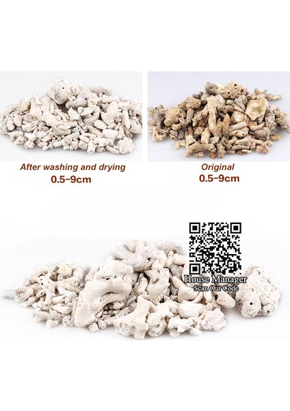 Beyaz Stil 500G Akvaryum Filtre Mercan Kabuğu, Tatlı Su Tuzlu Su, Doğal Mercan Kemiği Kum Biyosikl Filtrasyon Orta, Bakterileri Nitrify Eder (Yurt Dışından)