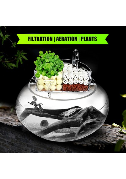 S Tarzı Akvaryum Harici Filtre Kutusu Akrilik Harici Asılı Su Arıtıcısı Yuvarlak Balık Tankı Aksesuarları Evcil Hayvan Malzemeleri (Yurt Dışından) modelleri