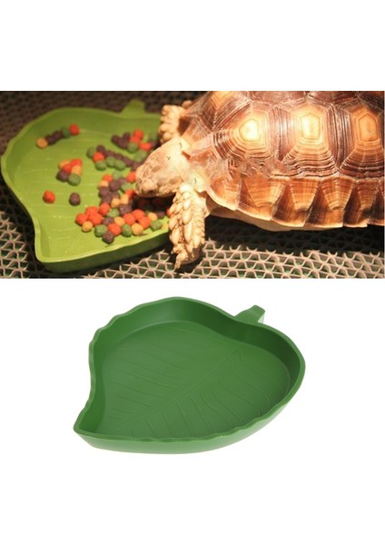 S Tarzı 1 Adet Yeni Plastik Sürüngen Evcil Hayvan Su Yiyecek Kasesi Kertenkele Yem Solucan Deri Yeşil Yaprak Şekil 2 Boyutlu Kaplumbağa Su Ürünleri (Yurt Dışından) fiyatları