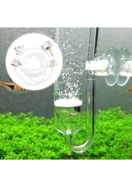 Hızlı Ekleme Stili Ev Yapımı Co2 Valf Difüzörü Sucul Bitki Ekipmanı Akvaryum Balık Tankı Su Otlu Karbon Dioksit Jeneratörü Cihazı (Yurt Dışından) fırsatları