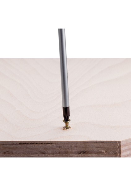Profesyonel Yıldız Tornavida PZ2 x 125 mm