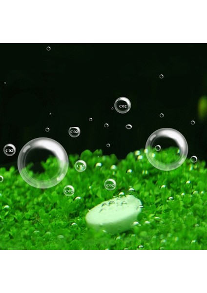 Akvaryum Co2 Tablet Karbon Dioksit Takviyeleri Balık Tankı Difüzörü Su Bitkileri (Yurt Dışından) fiyatları