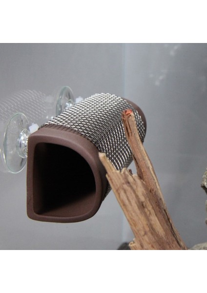 No.4 Tarzı Akvaryum Balık Tankı Bağlama Yosun Karides Kaçak Yuva Için Ayarlanabilir Zip Bağlarıyla Pcs Emme Kupaları (Yurt Dışından) fiyatları