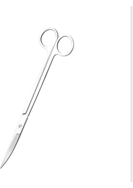 3 Adet Tarzı Akvaryum Paslanmaz Çelik Su Otluğu Kesici Aquotik Tank Bitki Dalga Veya Kıvrımlı Tank Temiz Kesim Aracı (Yurt Dışından) indirimleri