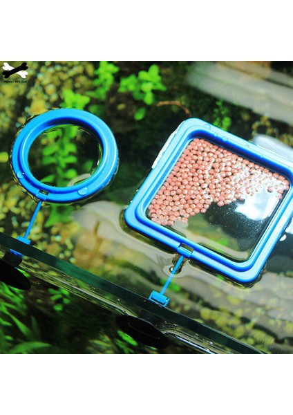 Bir Stil Yeni Akvaryum Yemleme Istasyonu Yüzen Yiyecek Tepsisi Kare Daire Aksesuarı Su Bitkisi Batma Emniyeti Emme Kupası (Yurt Dışından) fiyatları