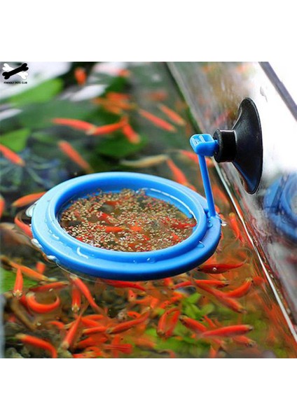 Bir Stil Yeni Akvaryum Yemleme Istasyonu Yüzen Yiyecek Tepsisi Kare Daire Aksesuarı Su Bitkisi Batma Emniyeti Emme Kupası (Yurt Dışından) modelleri