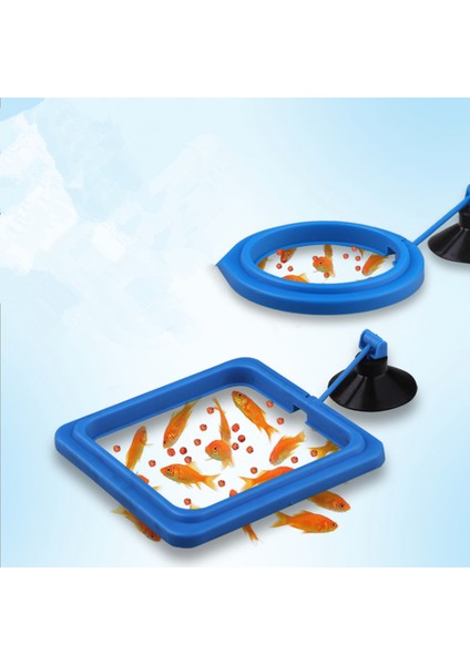 Bir Stil Yeni Akvaryum Yemleme Istasyonu Yüzen Yiyecek Tepsisi Kare Daire Aksesuarı Su Bitkisi Batma Emniyeti Emme Kupası (Yurt Dışından) fırsatları