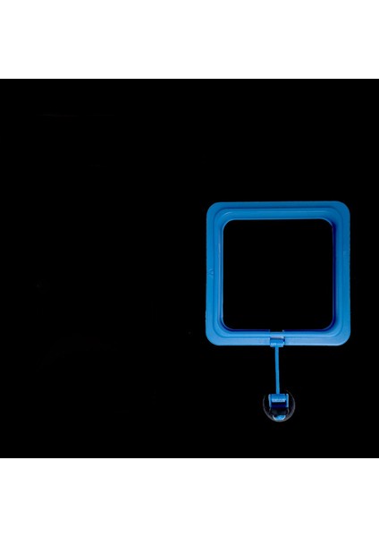 Mavi Kare Stili Akvaryum Emme Kupası Balık Tankı Halkası Balık Tankı Istasyonu Yüzen Yem Tepsisi Balık Tankı Aksesuarı (Yurt Dışından)