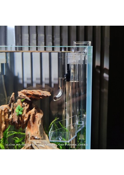 Akrilik Karides Dondurma Boru Tabak Kupa Salyangoz Balık Yem Kabı Konteyner Akvaryum Balık Tankı Aksesuarı (Yurt Dışından) fiyatları