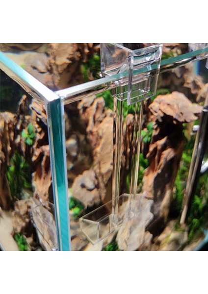 Akrilik Karides Dondurma Boru Tabak Kupa Salyangoz Balık Yem Kabı Konteyner Akvaryum Balık Tankı Aksesuarı (Yurt Dışından) fırsatları