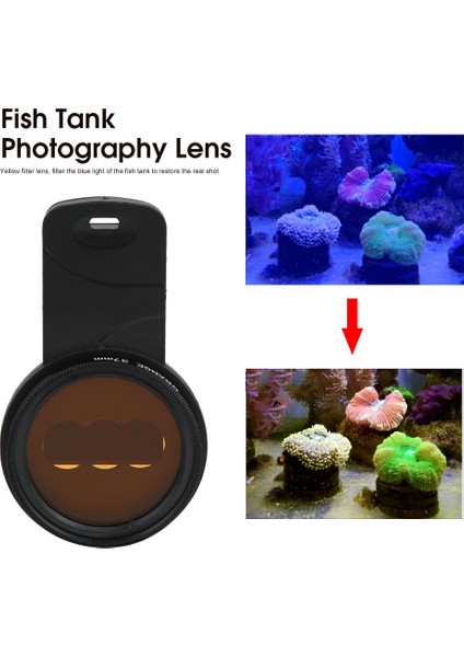 Dört Parça Takım Cep Telefonu Deniz Suyu Filtresi Balık Tankı Mavi Işık Mercan Silindir Fotoğrafçılık Lensi ile Makro Filtre Akvaryum (Yurt Dışından) fiyatları