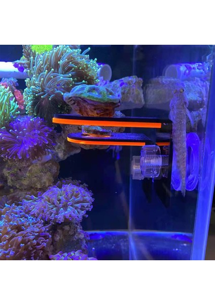 Üç Delikli Turuncu Stil Mercan Parça Rafı Akvaryum Floresans Mercan Parça Rafı Braketi Akrilik Akvaryum Resif ile Fiş Tutucu Emme Kupası Aksesuarları (Yurt Dışından)