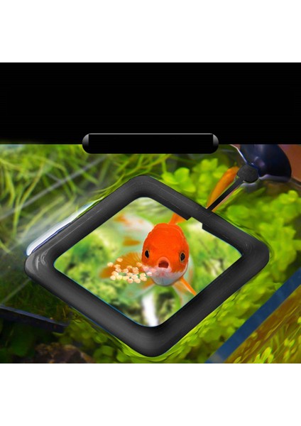 Yuvarlak Stil Sıcak Satış 1 Adet Balık Yemleme Akvaryum Balık Tankı Halka Besin Su Bitkisi Çember Akvaryum Yemleme Halkası (Yurt Dışından) fırsatları