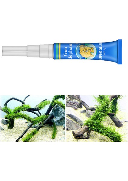 5 Adet Tarzı Akvaryum Sualtı Yosunu Yapıştırıcı Gel Açık Su Bitkileri Saksı Yosunu Yapıştırıcı Gel Driftwood Alt Su Yosunu Yapıştırıcı Gel (Yurt Dışından) fırsatları