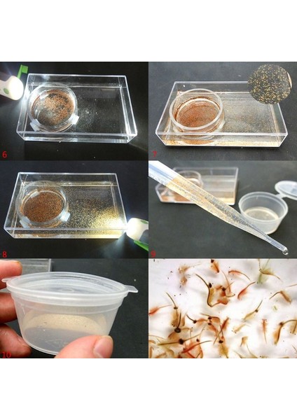 Şeffaf Stil Akvaryum Karides Inkübatör Kiti Tuzlu Karides Yumurta Dıy Kuluçka Aracı Kuluçka Ünitesi Balık Tankı Akvaryum Malzemeleri (Yurt Dışından) modelleri