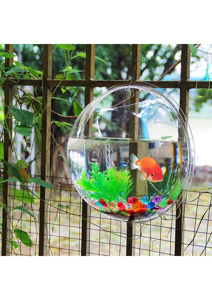 Şeffaf Stil 20 Santimetre Pinsjar Akrilik Balık Kase Duvara Asılabilen Akvaryum Tankı Su Ürünleri Evcil Hayvan Malzemeleri Duvara Monte Balık Tankı Betta Balığı Için (Yurt Dışından) fırsatları