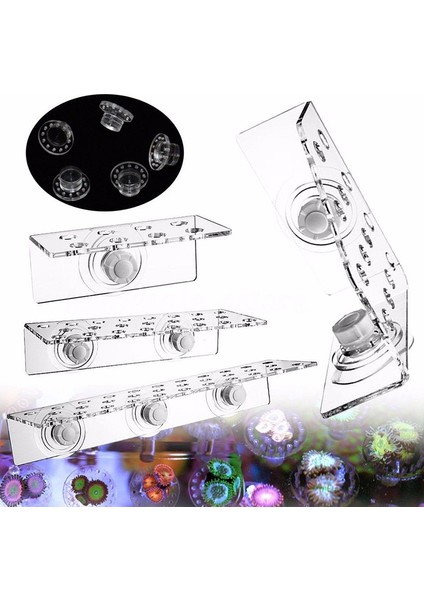 Crb 8 Stili Mercan Frag Rafa Sps Akrilik Deniz Akvaryumu Resif Takma Fişler Manyetik Montaj Aracı Tasarım Tutucu Deniz Resif Aksesuarları Parça (Yurt Dışından) fiyatları