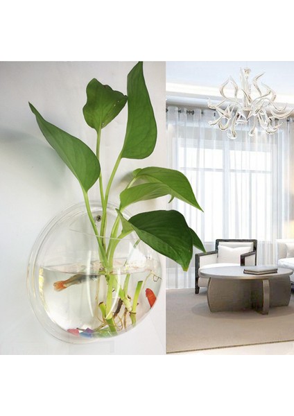 Yeşil Stil 15CM Pinsjar Akrilik Balık Kase Duvara Asılabilen Akvaryum Tankı Su Ürünleri Evcil Hayvan Malzemeleri Duvara Monte Balık Tankı Betta Balığı Için (Yurt Dışından) modelleri